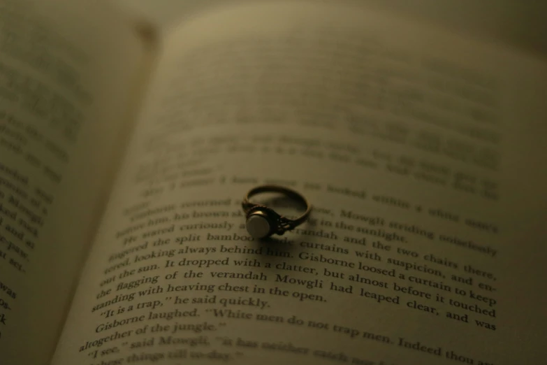 an open book with a tiny ring in it