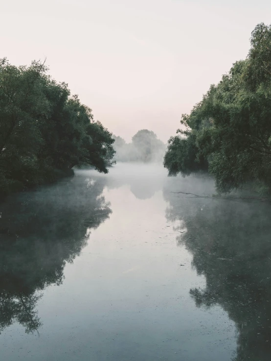 fog hanging over trees along the sides of the river