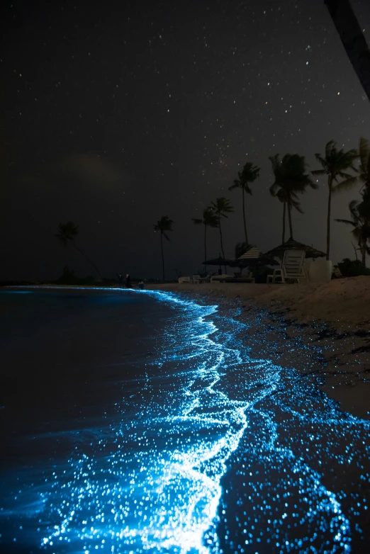 a night view of a dark beach at night