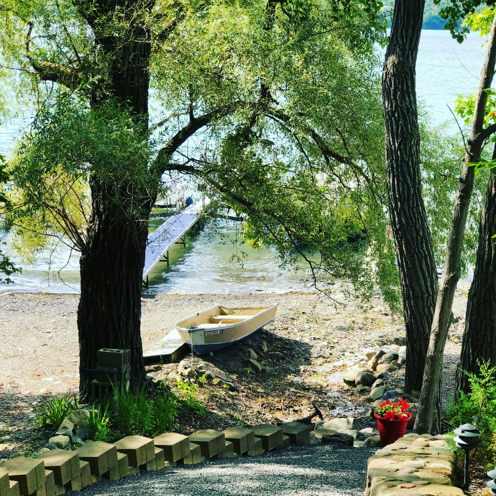 a small boat tied up to a tree by the shore