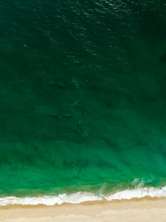 a beach area with a surfer standing on the water