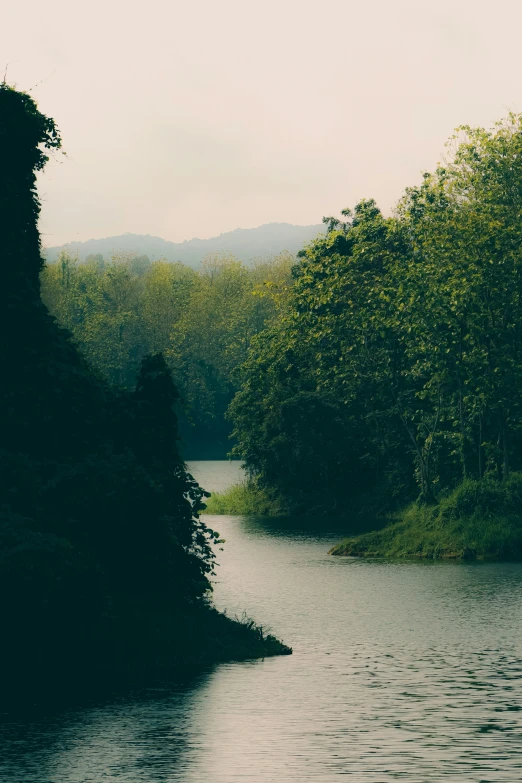 a large body of water surrounded by lush green trees