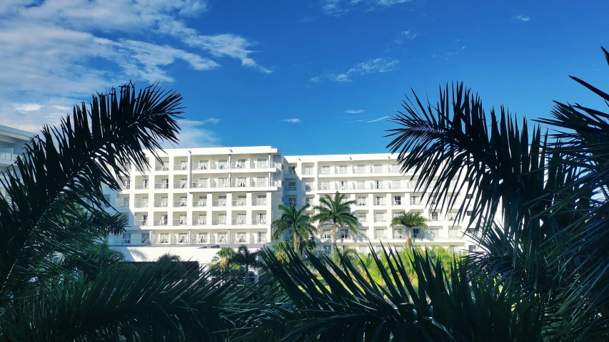 a el is surrounded by tropical plants on a clear day