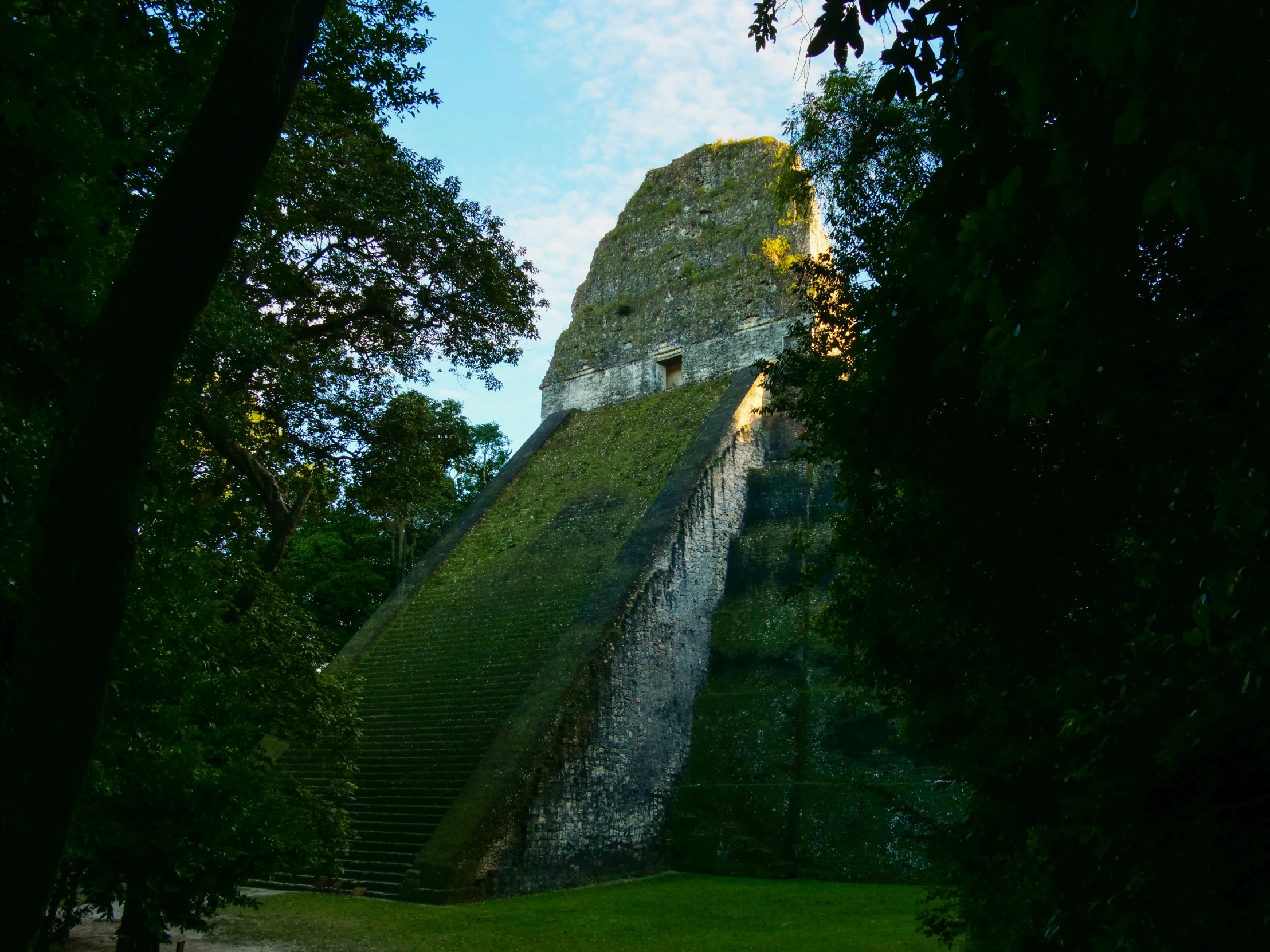 a stone staircase with many steps leading up through the trees