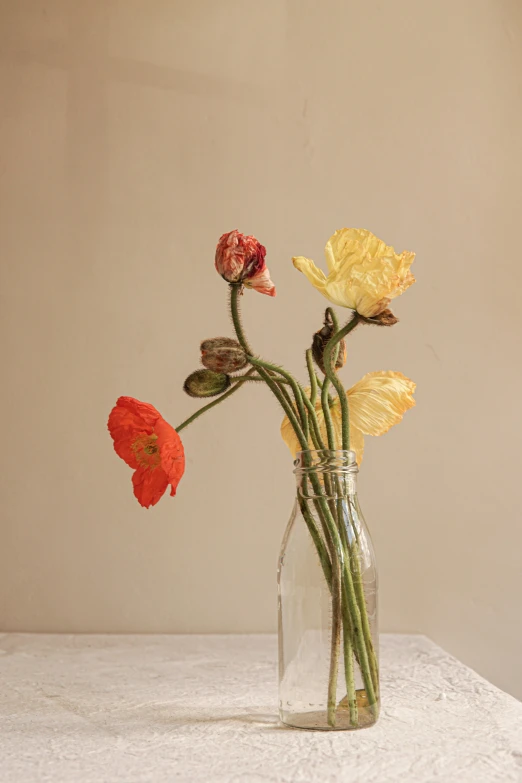 three yellow and red flowers in a glass vase