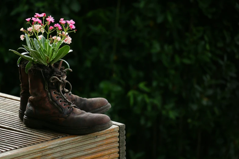 a shoe with flowers in it on a wood surface