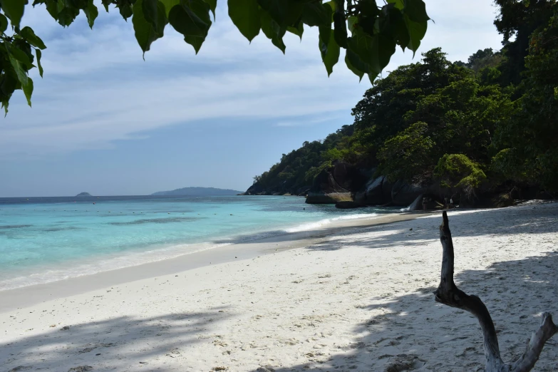 a beach in the middle of a tropical region