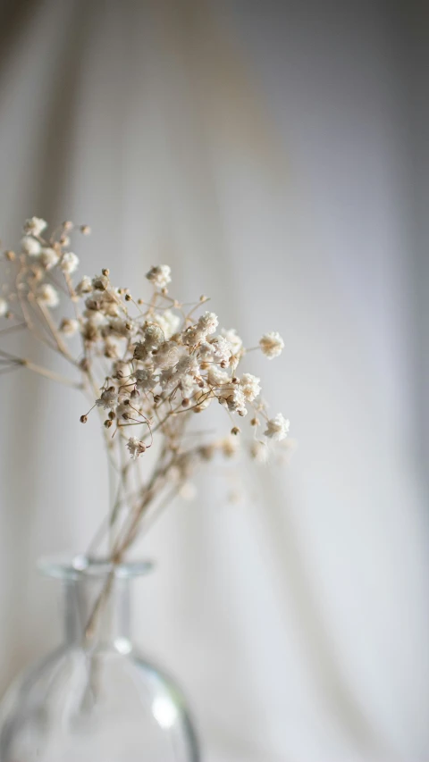 some white flowers in a glass vase