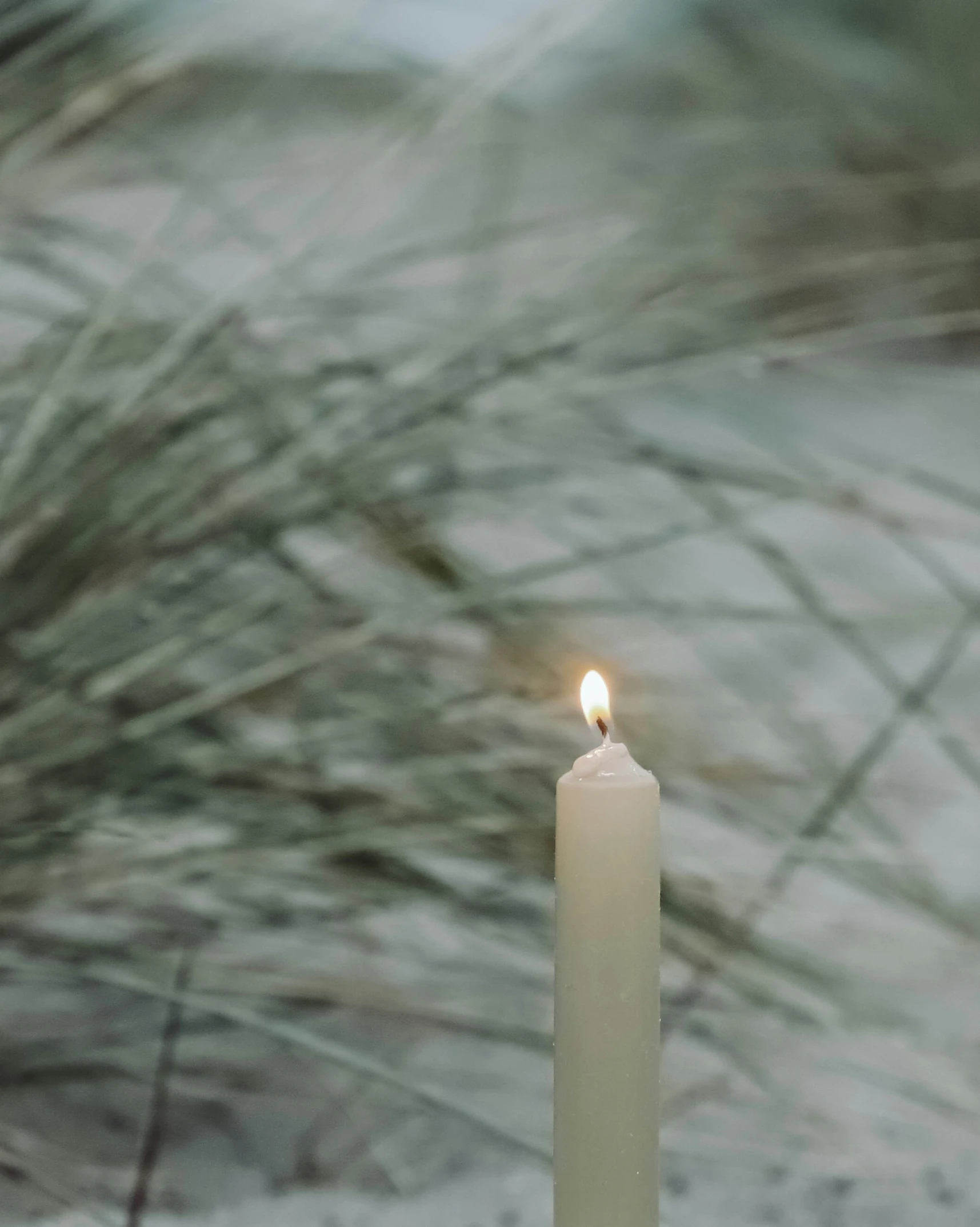 a small lit candle in front of a background of tall grass