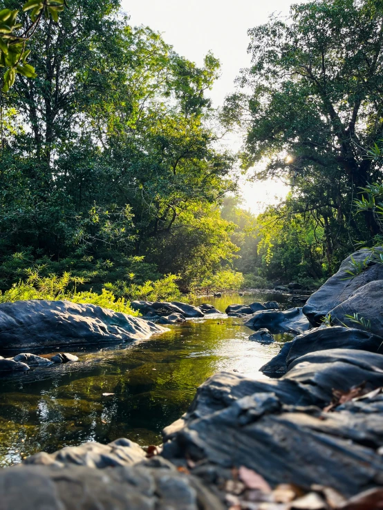 water flowing in between rocky terrain next to a forest