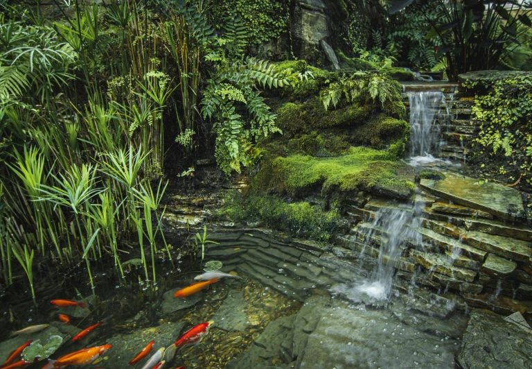 a waterfall cascading in the water with small fish swimming around