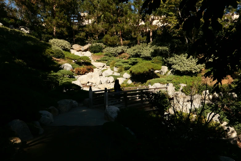 an open area in the wilderness with trees and rocks