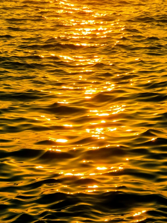 bright yellow ocean waves lit by the sun