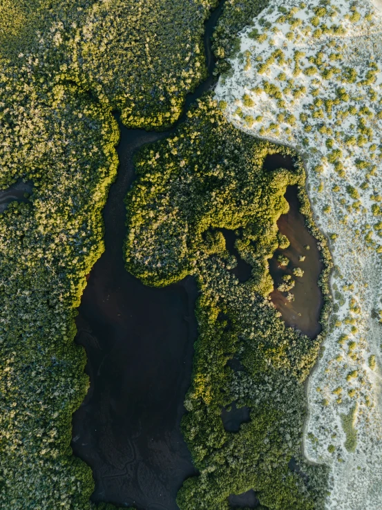 an aerial view of some green and white land