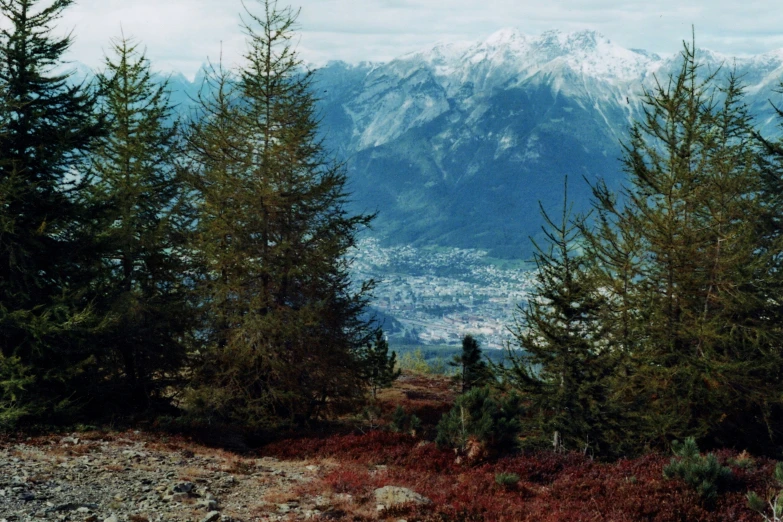 mountains are in the distance with a forest