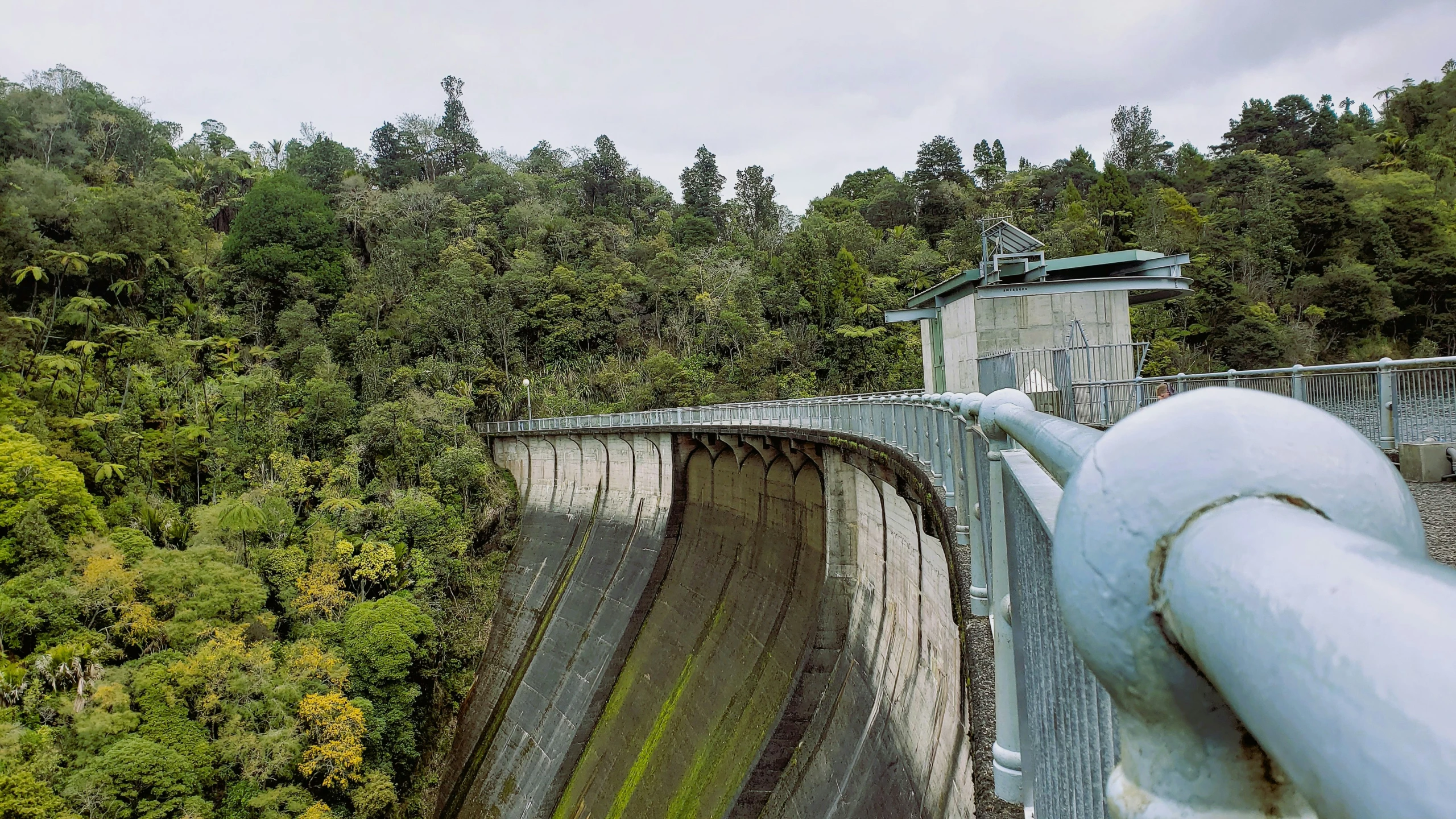 a dam on a road near a forest