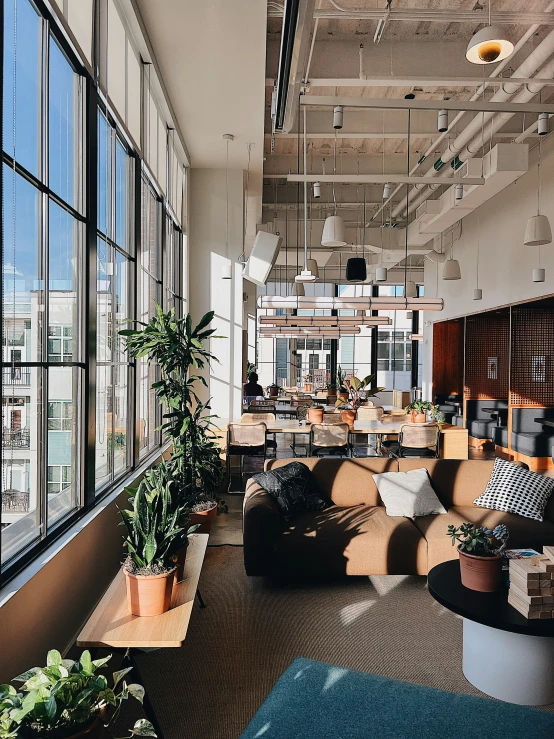 open room with long windows, chairs, potted plants and a couch