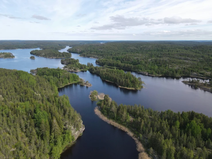 an aerial view of a large body of water surrounded by a forest