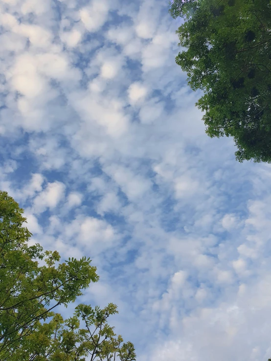 a plane flies high in the cloudy sky