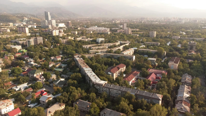 aerial view of small towns in forest with a mountain background