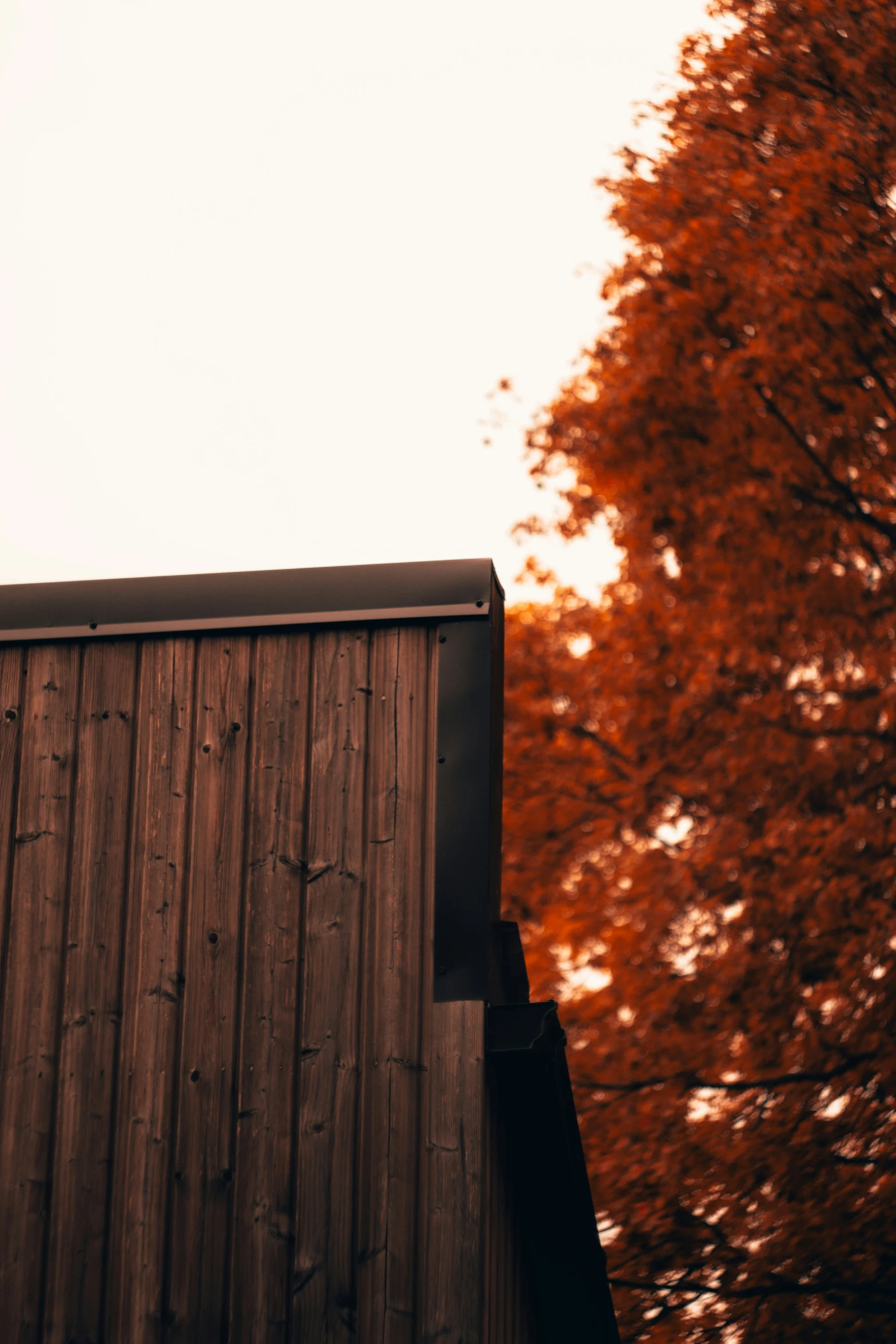 the top of a wooden building with lots of windows