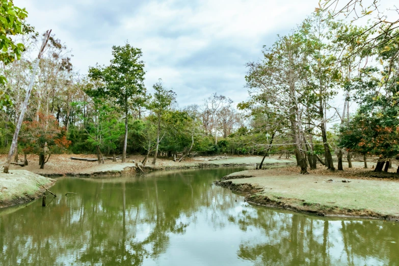 a river is surrounded by trees and some grass