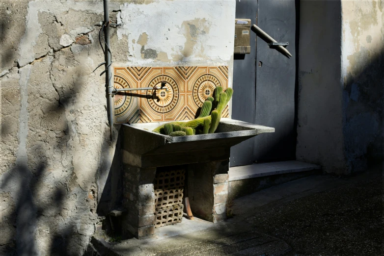 a sink that has some greens in it