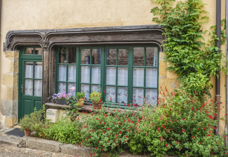 window of an old building with green trim and several flowers