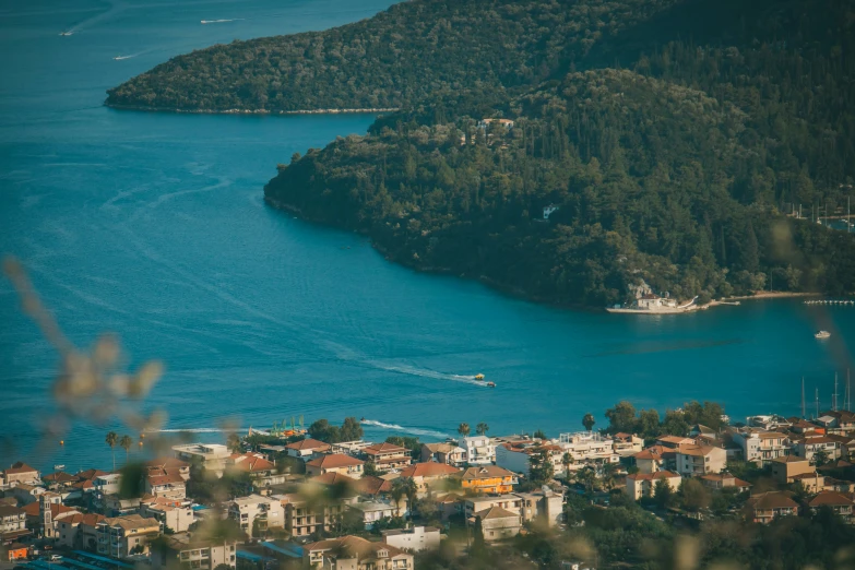 boats glide in a bay surrounded by small forested shores