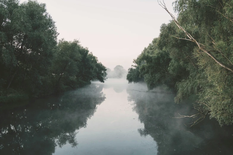 a river running through a dense forest filled with trees