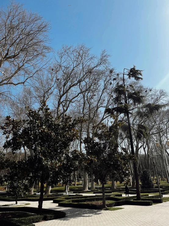 a park with trees and benches near a path