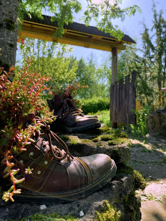 pair of boots sitting in the grass near a bush