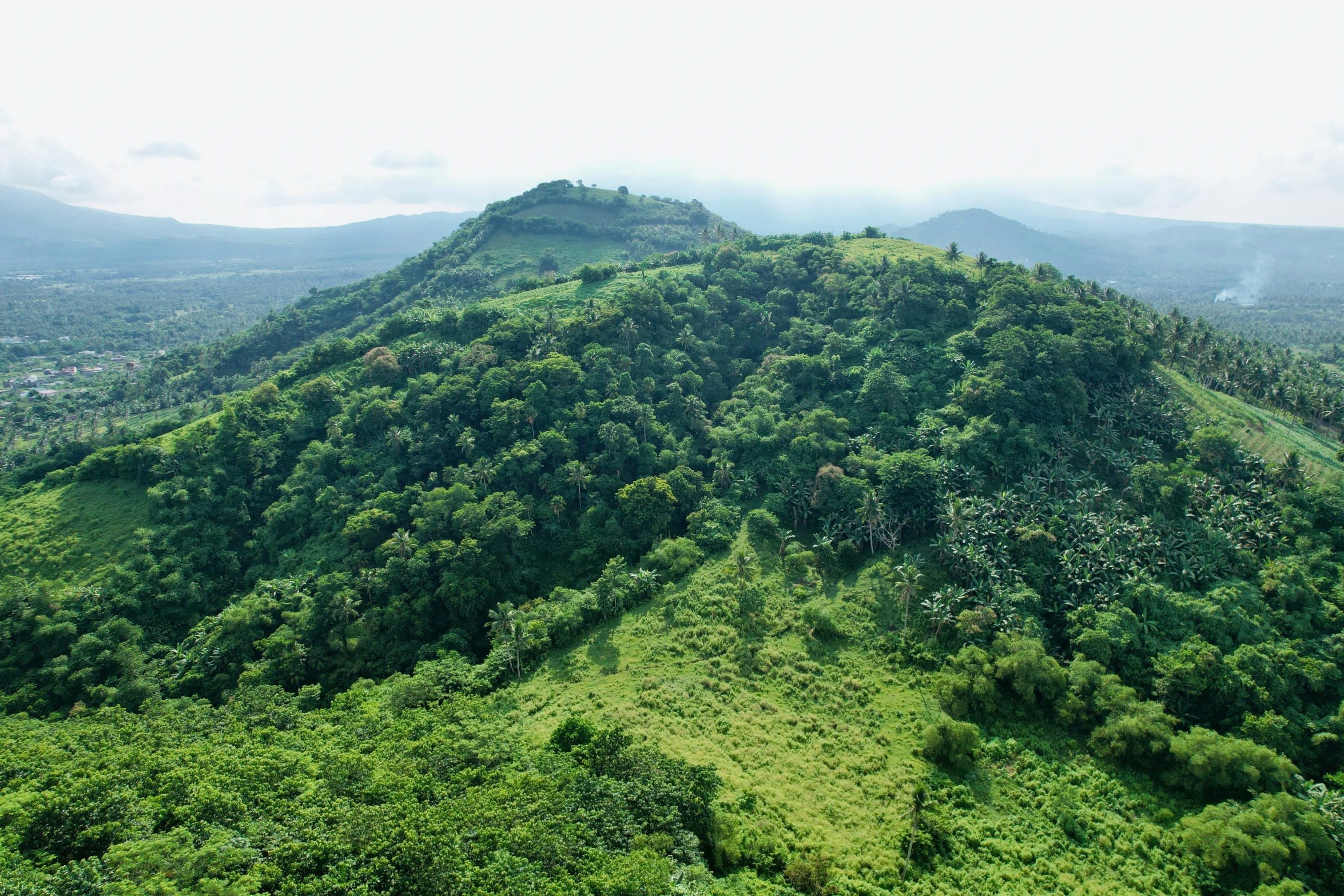 a very tall mountain with a large amount of trees in it