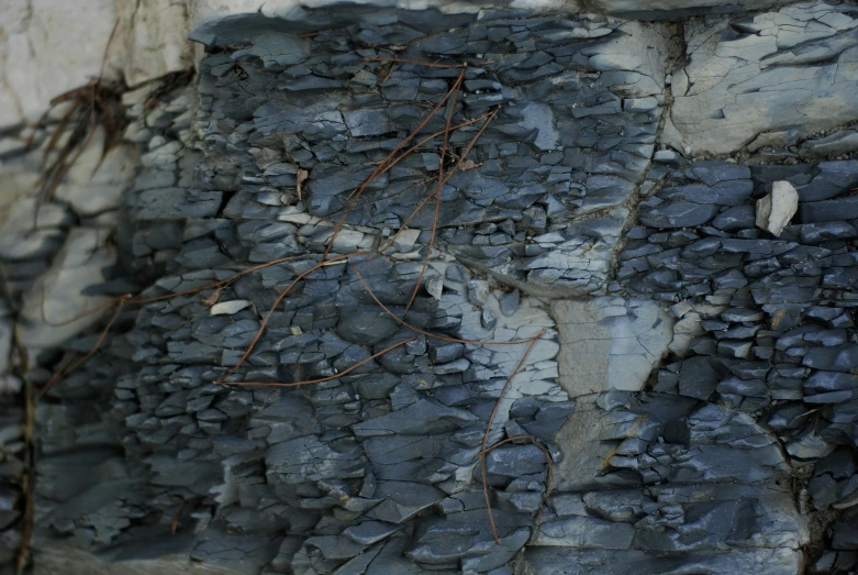 the rock wall is broken apart by some weeds