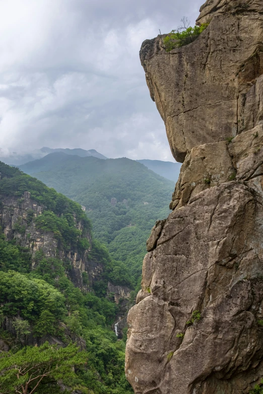 a scenic view looking up at green trees on the rocky terrain