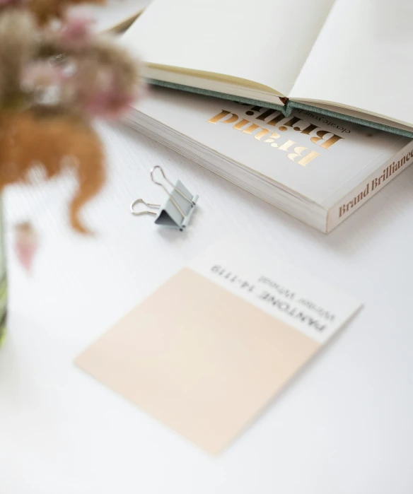 a desk with a pen and an open book on top