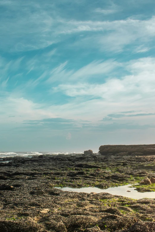 an ocean view with two people holding hands