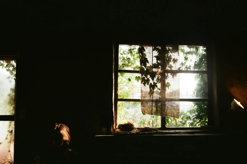 a po of a bird sitting on top of a window sill