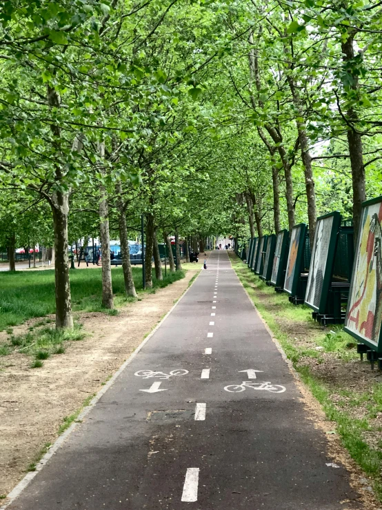 a bicycle path is lined with trees and posterboards