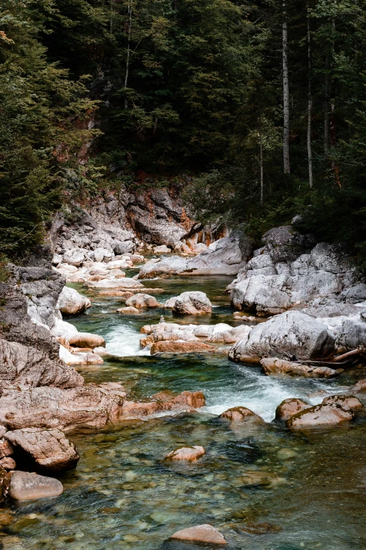 a clear river flowing through the middle of a lush green forest