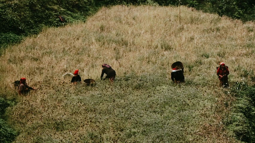 a group of people sit in the grass with two dogs