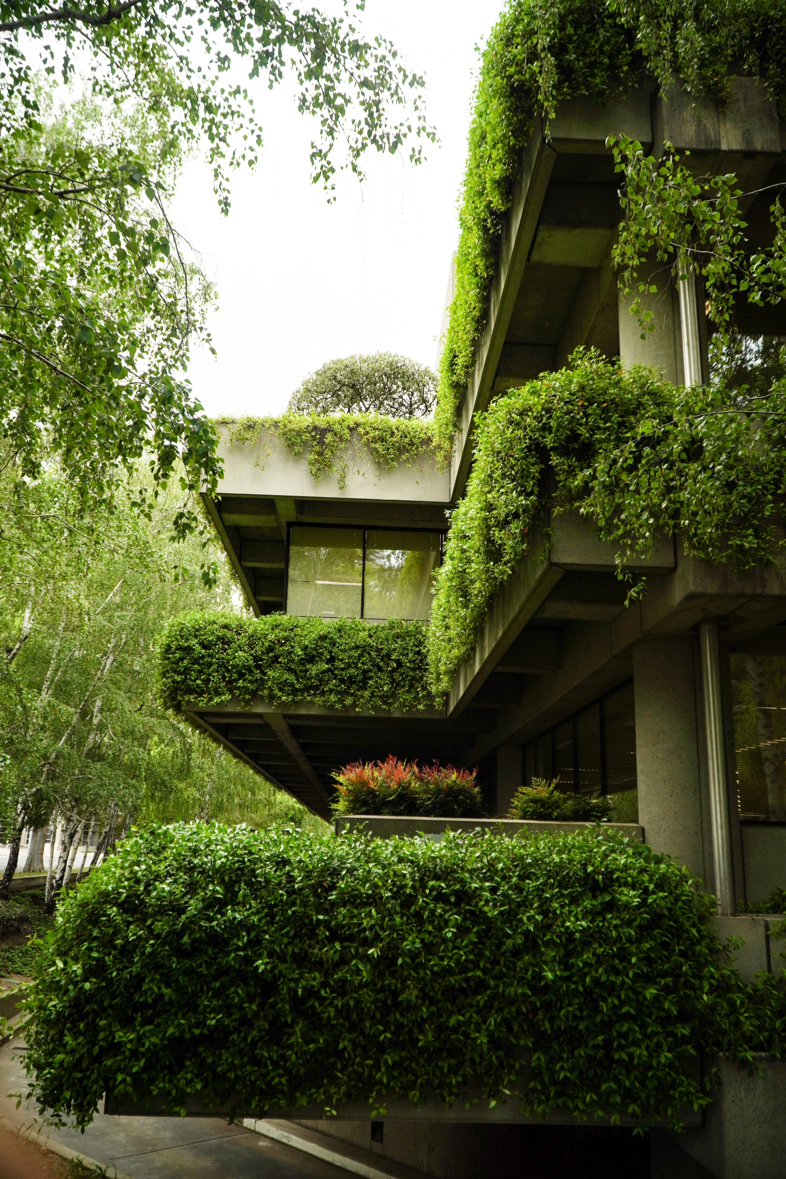 this is a building with several balconies covered in plants