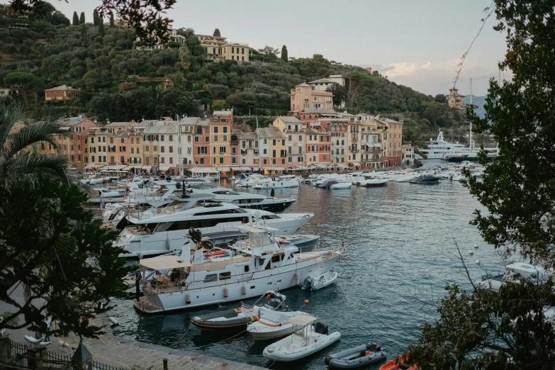 many boats parked in a harbor with many buildings on a hill