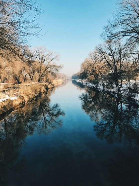 a po of some water near the trees