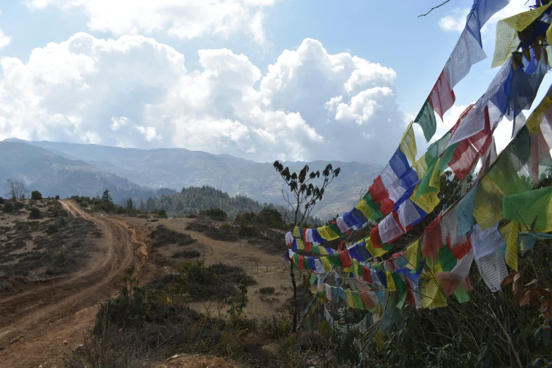 the colorful banners are hanging from the wire outside