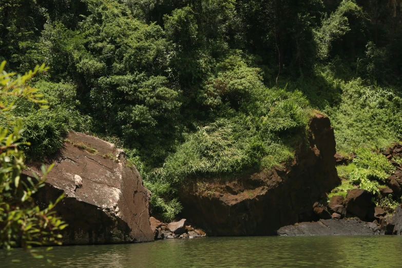 an area with a river, rocky bank, forest and shrubs