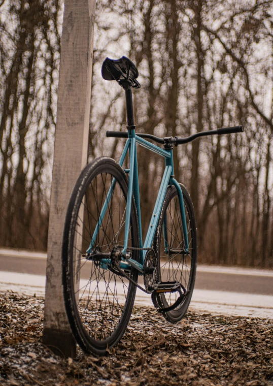 blue bicycle leaning against tree on pavement