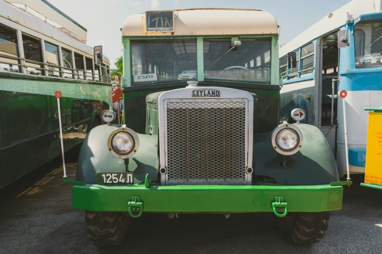 some green and white double decker buses parked