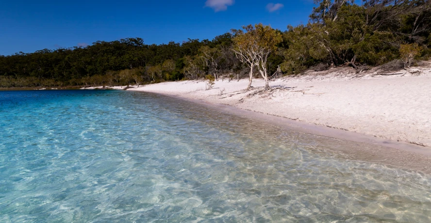 the blue water of a lagoon in front of a white sand beach