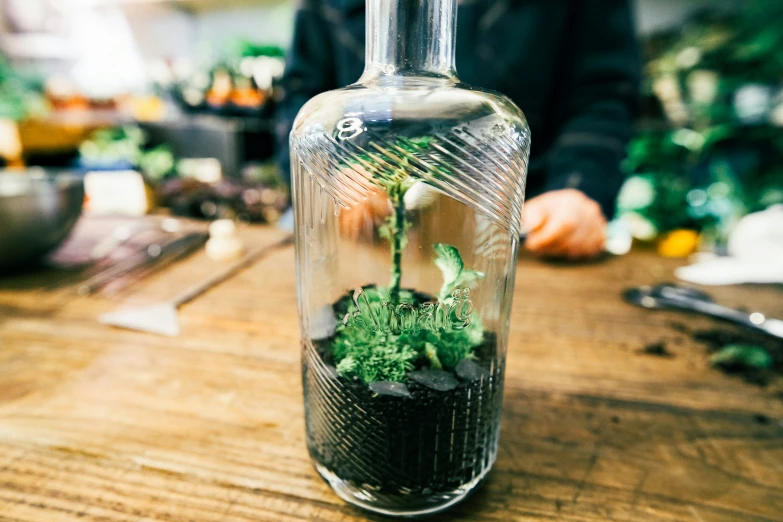 the flower inside the glass vase is green